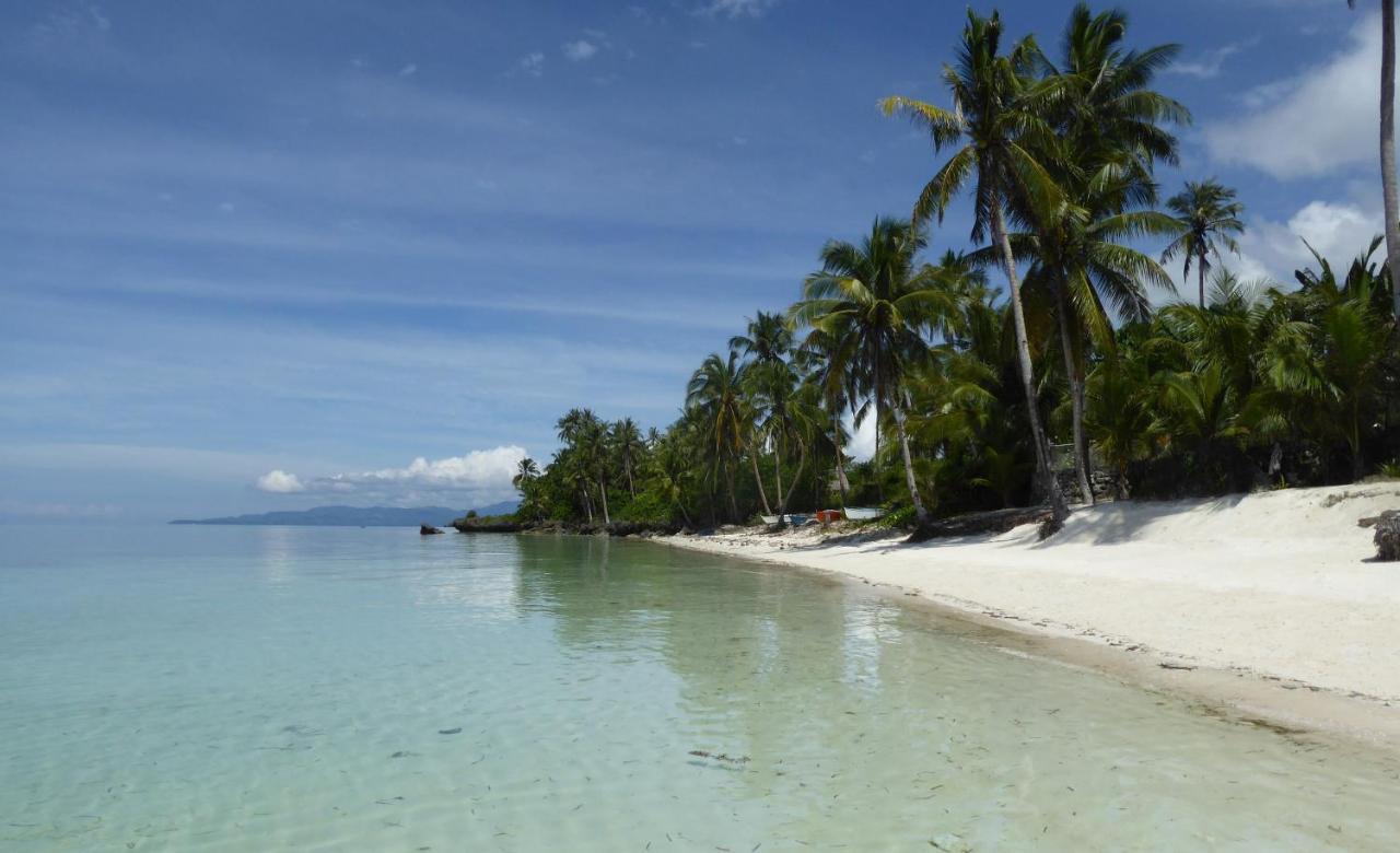 Island View Beachfront Resort Anda  Eksteriør bilde