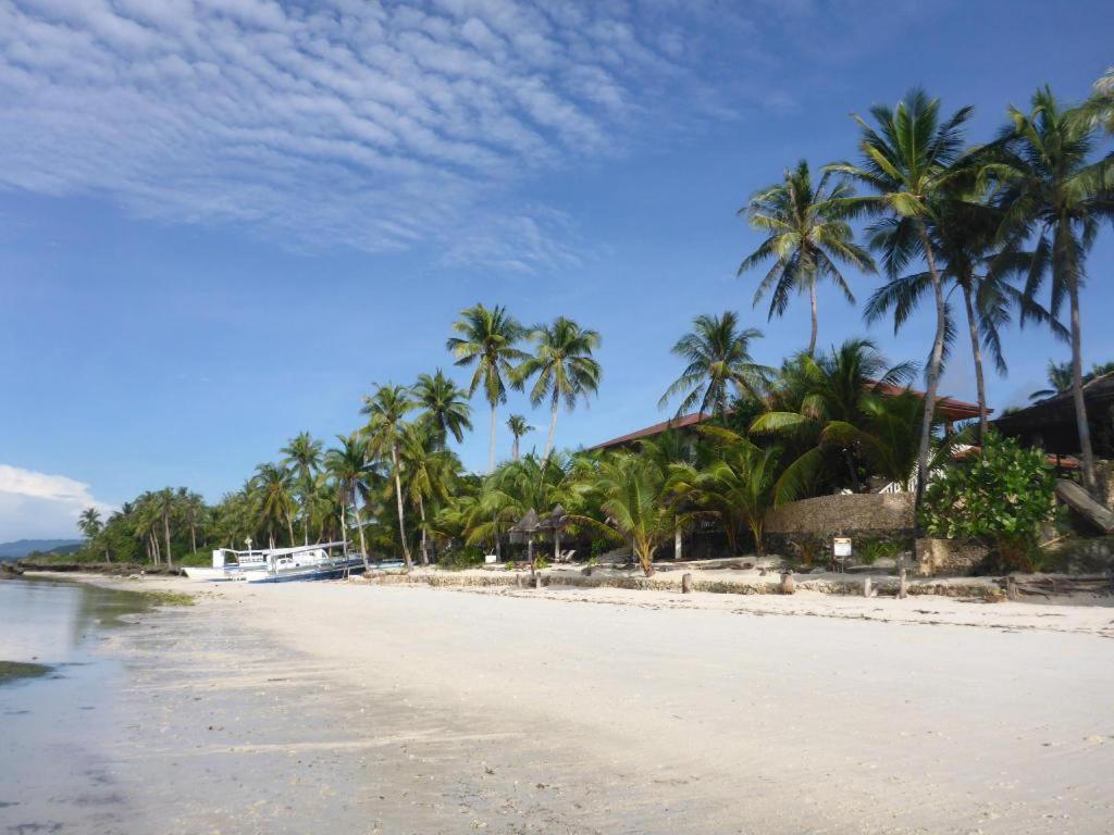 Island View Beachfront Resort Anda  Eksteriør bilde