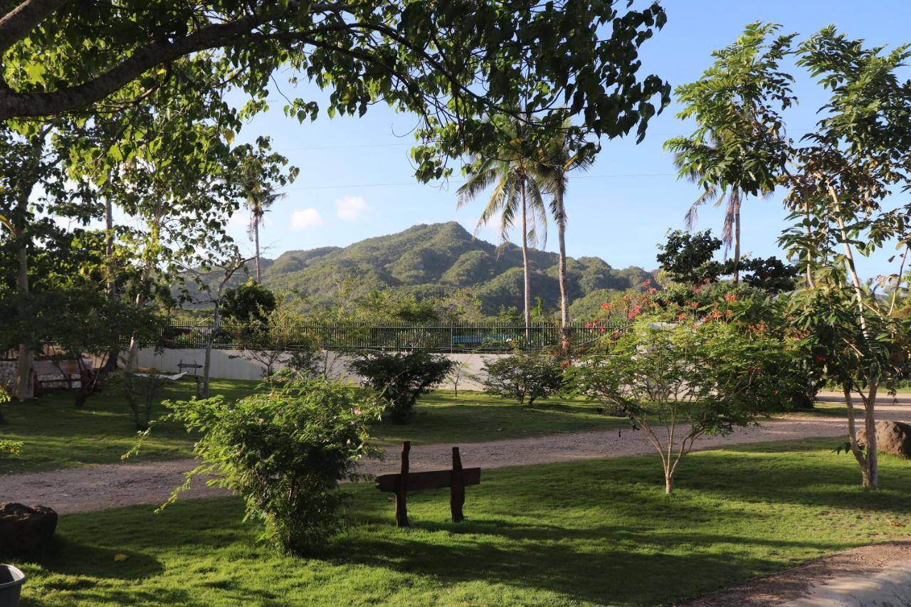 Island View Beachfront Resort Anda  Eksteriør bilde